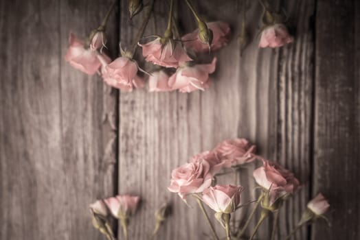 Bouquets of roses on a wooden table horizontal