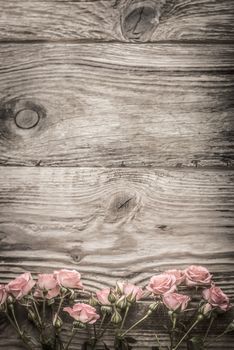 Pink flowers on gray wooden boards vertical