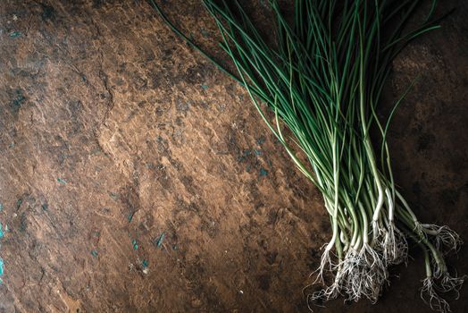 Green onion stalks and roots on the stone table horizontal