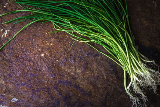 Green onion stalks and roots on the stone table horizontal