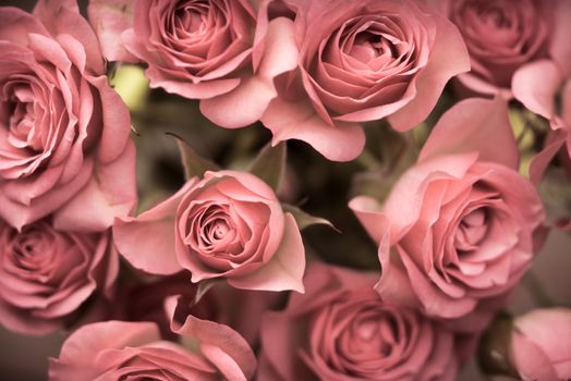 Big bouquet of pink roses horizontal