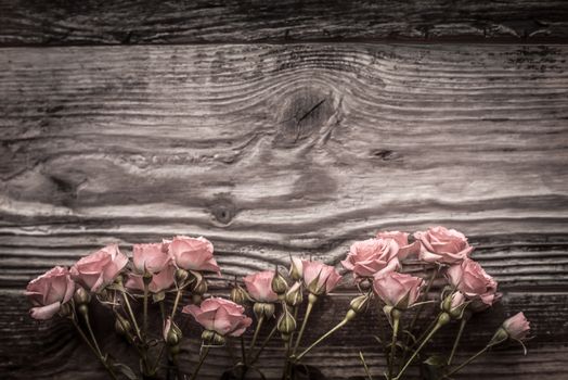 Pink flowers on gray wooden boards horizontal