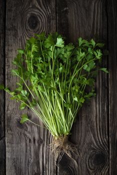 Green celery with roots on a wooden table vertical