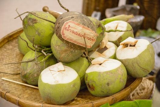 coco nut culture of thailand