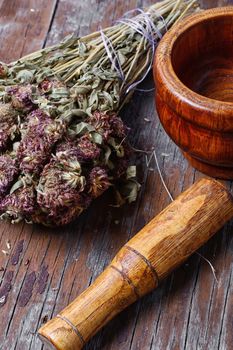 Dried medicinal plant and wooden mortar with pestle