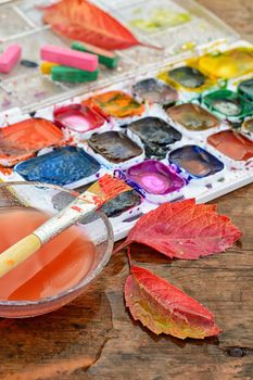 Watercolor paint,paint brush for painting and autumn leaves