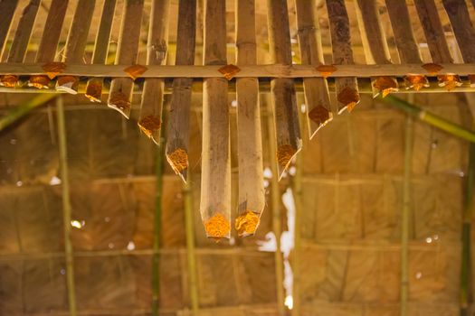 home bamboo and dry leaves roof thai