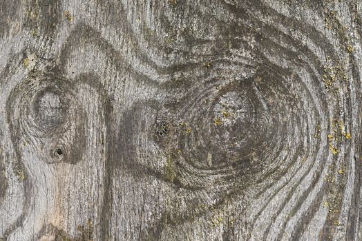Weathered wooden plate as background picture

