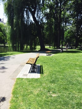 Wooden park bench, Boston Park, USA