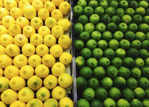 Lemon and limes in rows, shopping.