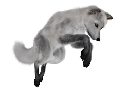 White fox hunting isolated in white background - 3D render