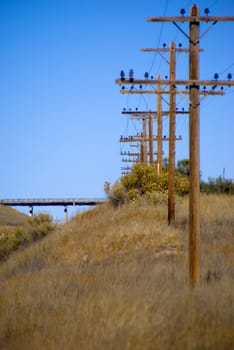 Electrical power poles in a line