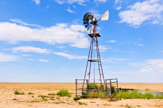 Working windmill providing drinking water for cattle