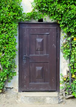 Old medieval wooden door overgrown with green ivy.