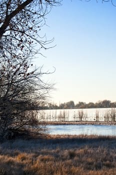 Cold water in a pond early in tjhe autumn in the morning