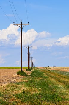 Wooden power poles, road and a fence line fade into the distant horizon toward a perspective point.