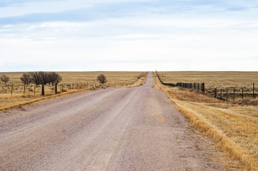 Gravel road though rural Eastern Colorado, USA. Long, straight, and dusty.