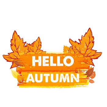 hello autumn banner - text in yellow and orange drawn label with leaf signs, seasonal concept
