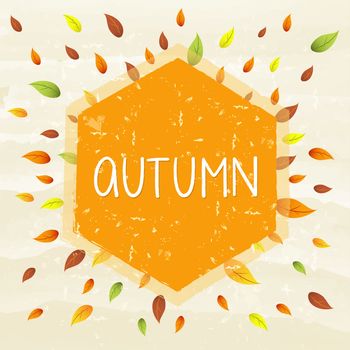autumn text in hexagon frame over orange old paper background with leaf signs, seasonal concept