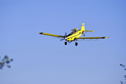 Crop-duster coming in for another pass at a cornfield while spraying the crop.