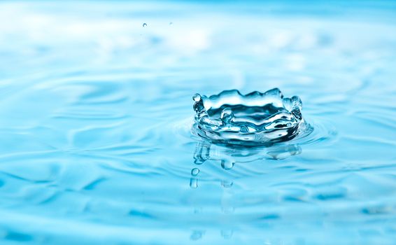 Water splash forming a coronet as it reacts to the droplet.