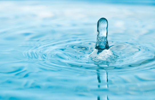 A water drop bounces into the air after it falls