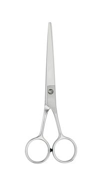 Professional Haircutting Scissors isolated on white background