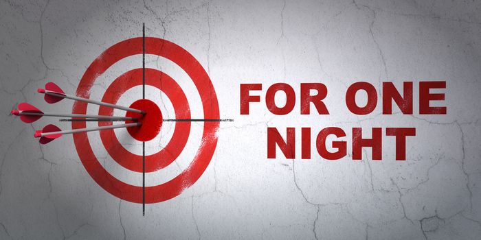 Success vacation concept: arrows hitting the center of target, Red For One Night on wall background, 3D rendering