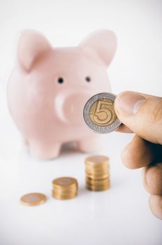 Close up of hand holding polish coin. Piggybank and savings concept