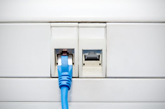 Ethernet cable connected to socket in wall. Internet connection