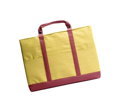 Laptop bag isolated on white