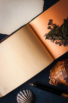 Romantic writer set on the dark stone table vertical