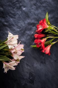 White and red alstroemeria on the dark stone background vertical