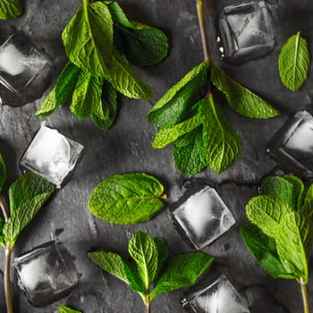 Fresh mint with ice cube on the stone table square