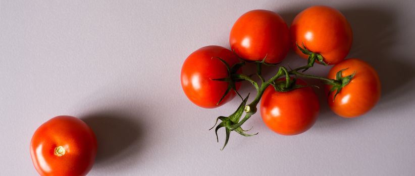 Tomatoes twig on the white background