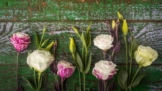 Beautiful flowers on the colorful wooden background