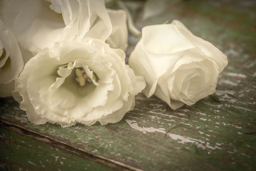 White flowers on the old wooden background horizontal