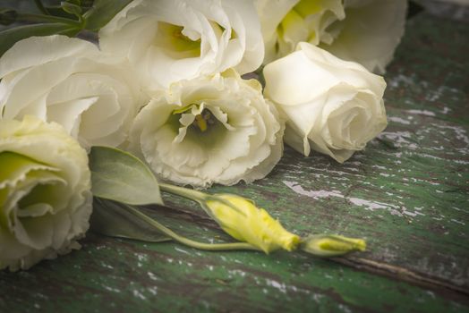 White flowers on the colorful wooden background