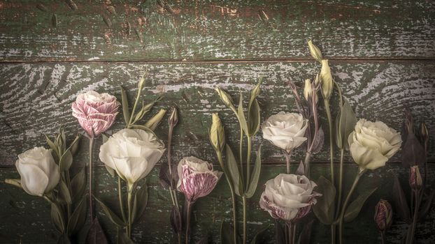 Eustoma flowers on the shabby wooden background