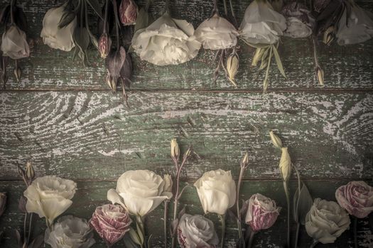 Eustoma on the old wooden table horizontal