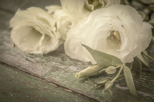 White flowers on the old wooden background