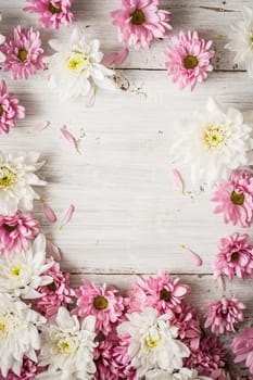 Frame of   pink  and white flower on the white wooden table vertical