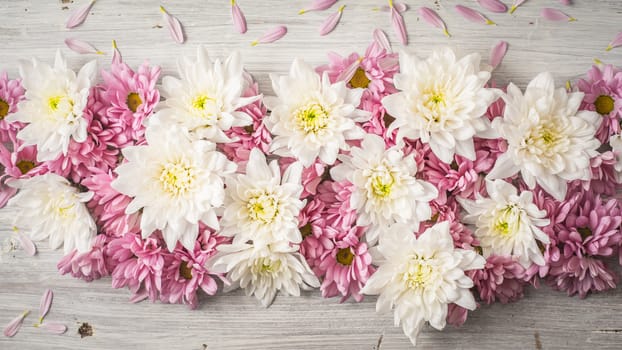 Composition of  white and pink flower on the white wooden table top view