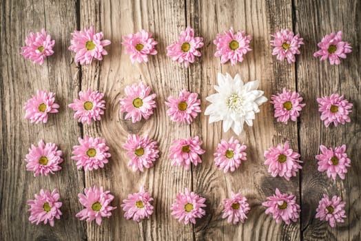 Pattern of pink and white flowers on the wooden table top view