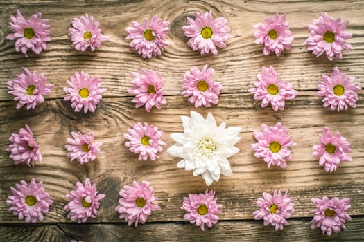 Composition of pink and white flowers on the wooden table top view