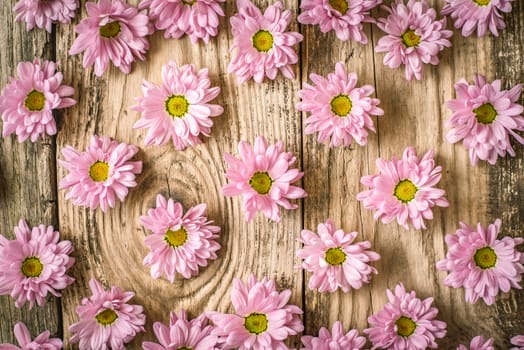 Pink flowers on the wooden table top view