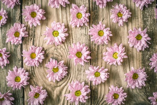 Pattern of pink flowers on the wooden table top view