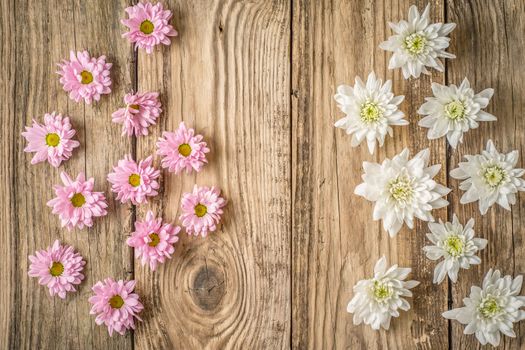 White and pink  flowers on the wooden background