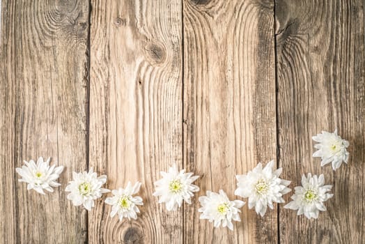 White flowers on the wooden background top view