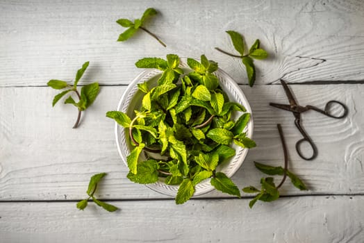 Composition of the mint leaves on the white wooden table